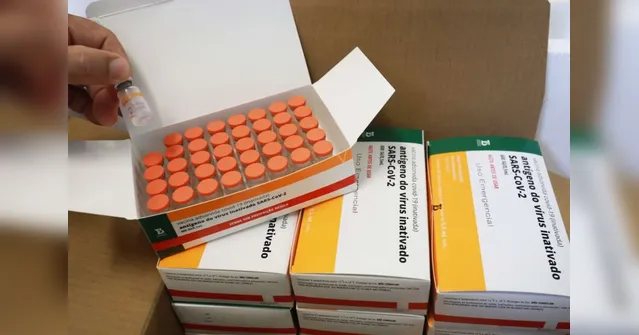 Imagem ilustrativa da notícia Butantan recebe insumos para retomar produção da vacina 