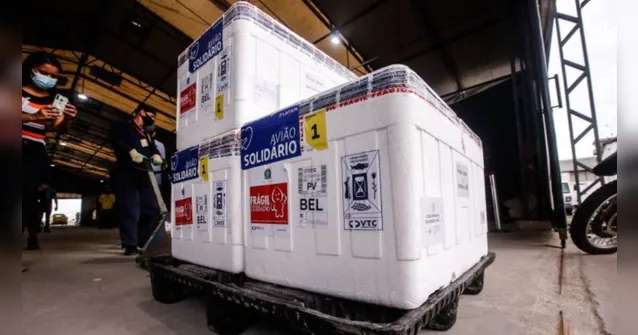 Imagem ilustrativa da notícia Pará recebe quase 190 mil doses de vacinas contra a Covid-19