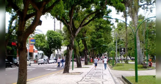 Imagem ilustrativa da notícia Árvore cai na praça Batista Campos e área fica sem energia