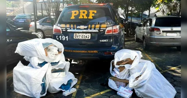 Imagem ilustrativa da notícia Ação apreende 5 mil maços de cigarros na Grande Belém