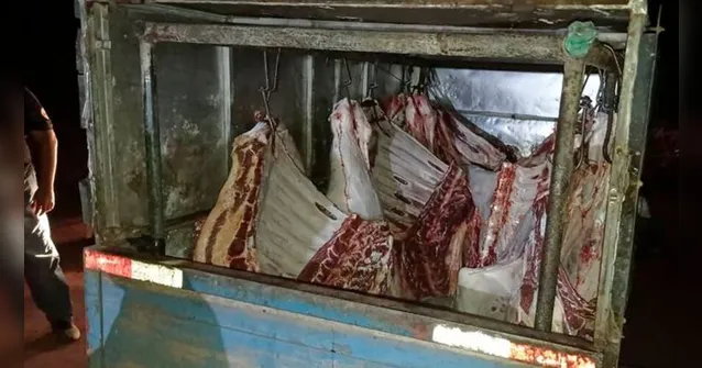 Imagem ilustrativa da notícia Abatedouros clandestinos são interditados no Pará