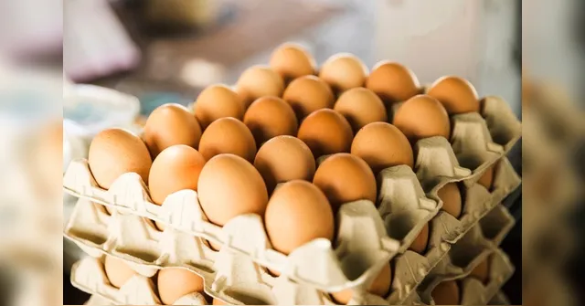 Imagem ilustrativa da notícia Você sabia que o ovo é rico em nutrientes? Saiba mais!