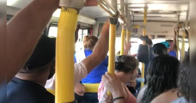 Imagem ilustrativa da notícia "Juíza" dá tapa em motorista de ônibus em Belém