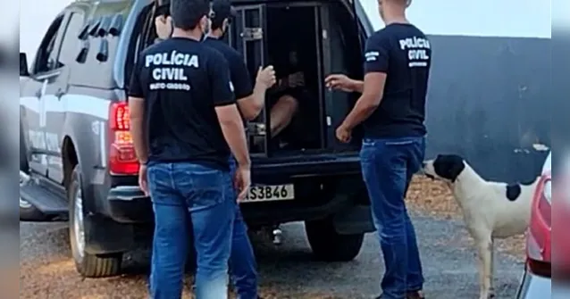 Imagem ilustrativa da notícia Bebê desenterrado por pitbull foi esquartejado pela mãe