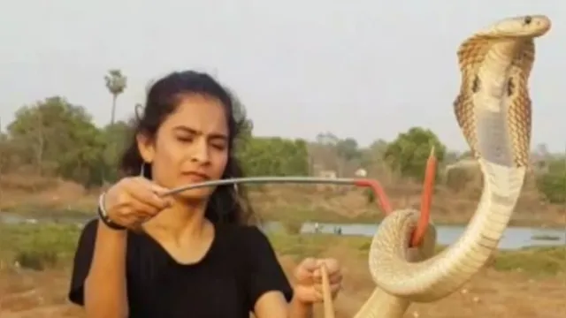 Imagem ilustrativa da notícia Vídeo mostra jovem brincando com cobra dona de picada mortal
