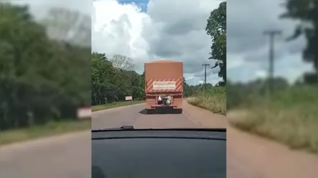 Imagem ilustrativa da notícia Vídeo: homem pega "carona" em parachoque de caminhão no Pará