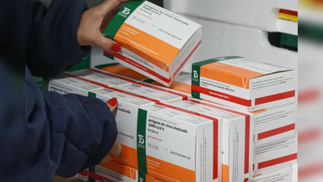 Imagem ilustrativa da notícia Butantan entrega mais 2 milhões de doses da Coronavac 