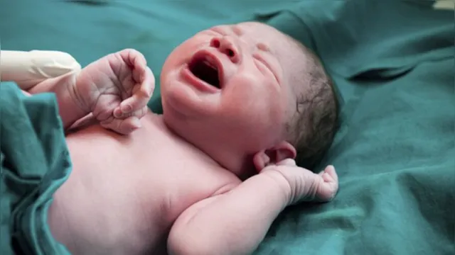 Imagem ilustrativa da notícia Bebê nasce com anticorpos contra a Covid-19 em SC