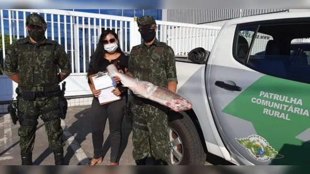 Imagem ilustrativa da notícia Tubarão é encontrado dentro de freezer em SP