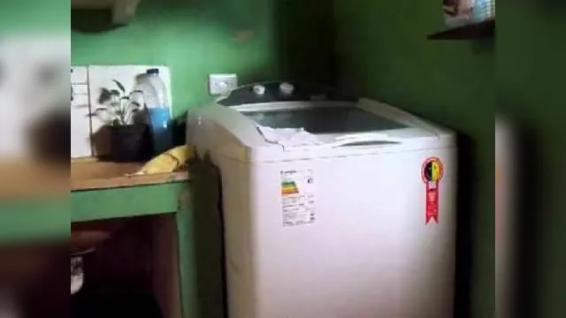 Imagem ilustrativa da notícia Grávida morre após levar choque em máquina de lavar
