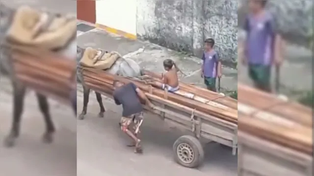 Imagem ilustrativa da notícia Homem força cavalo a puxar carroça pesada em Castanhal