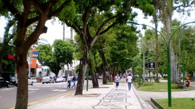 Imagem ilustrativa da notícia Árvore cai na praça Batista Campos e área fica sem energia