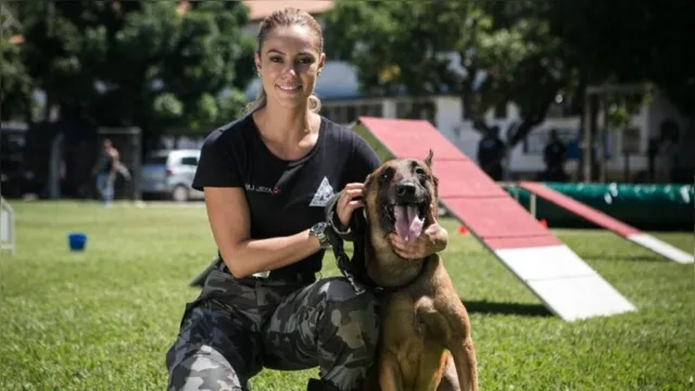 Imagem ilustrativa da notícia Morre cão parceiro de Paolla Oliveira em "A Força do Querer"