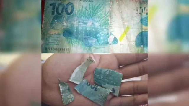Imagem ilustrativa da notícia Mulher usa nota de R$ 100 falsa para pagar menino em sinal