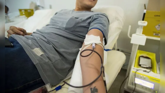 Imagem ilustrativa da notícia Junho Vermelho: campanha incentiva a doação de sangue