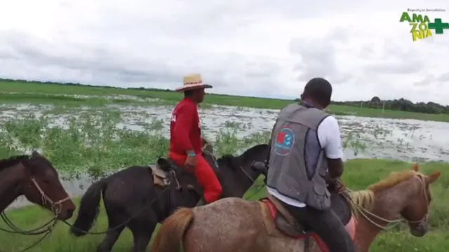 Imagem ilustrativa da notícia Agroamazônia
mostra o agronegócio paraense na tela da TV