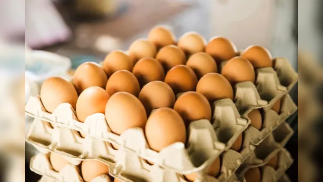 Imagem ilustrativa da notícia Você sabia que o ovo é rico em nutrientes? Saiba mais!