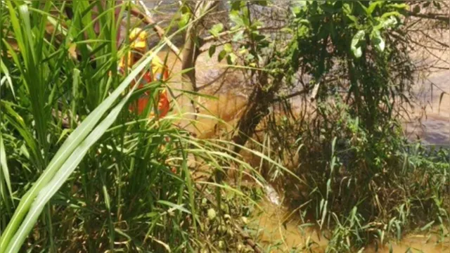 Imagem ilustrativa da notícia Corpo é encontrado próximo a cobra na mata do Utinga