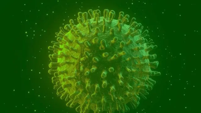 Imagem ilustrativa da notícia Covid-19: infectados podem gerar anticorpos permanentes