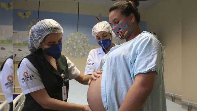 Imagem ilustrativa da notícia Especialistas ensinam como prevenir covid-19 na gravidez