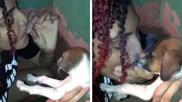 Imagem ilustrativa da notícia Influencer do Pará obriga cão a fumar maconha. Veja o Vídeo!