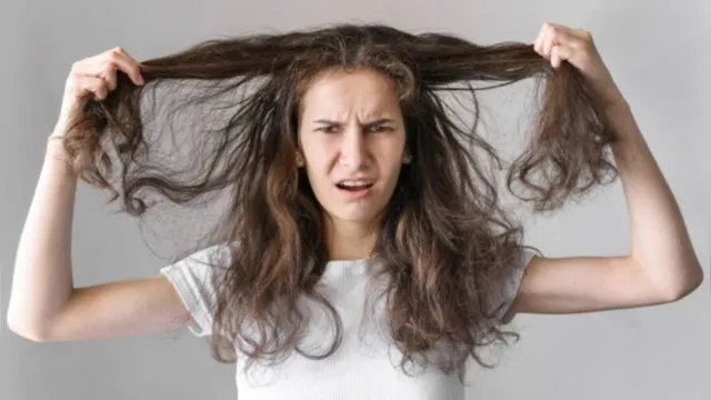Imagem ilustrativa da notícia Sofre com oleosidade no cabelo? Veja como controlar!