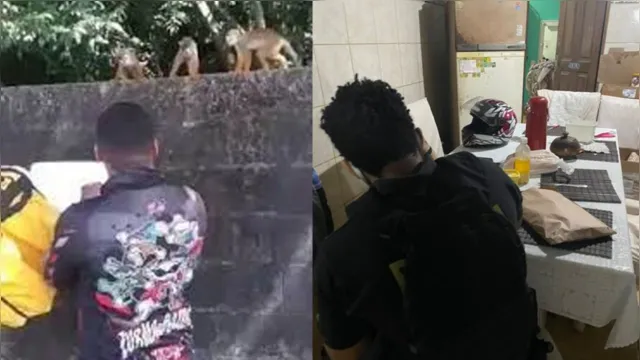 Imagem ilustrativa da notícia Operação busca homens que roubaram macaco em caixa térmica