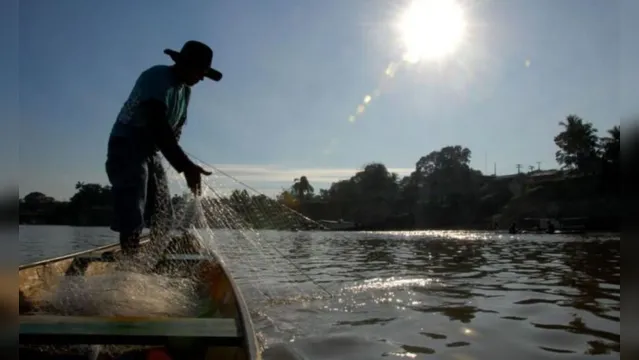 Imagem ilustrativa da notícia Licenças de pescadores canceladas no Pará em destaque do RD