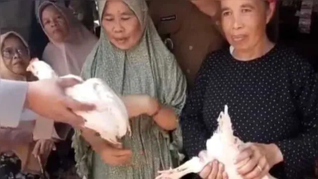 Imagem ilustrativa da notícia Covid-19: Indonésia oferece galinha a quem se vacinar