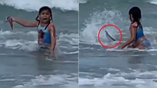 Imagem ilustrativa da notícia Vídeo: tubarão tenta atacar criança durante banho em praia