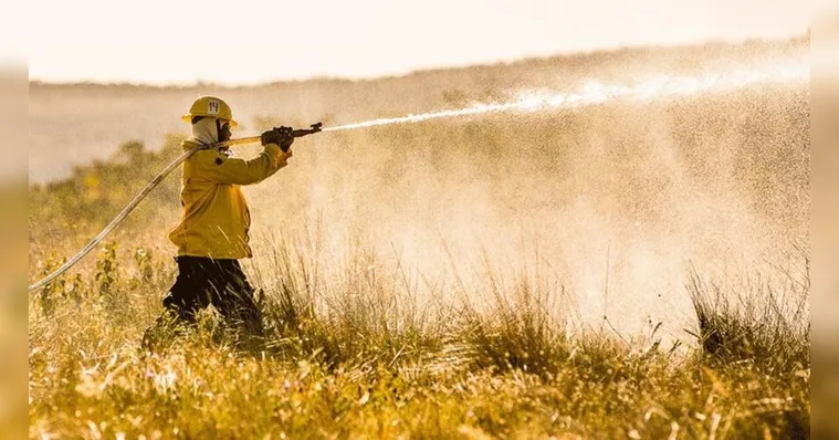 Imagem ilustrativa da notícia ICMBio abre vagas em vários estados ainda em 2021