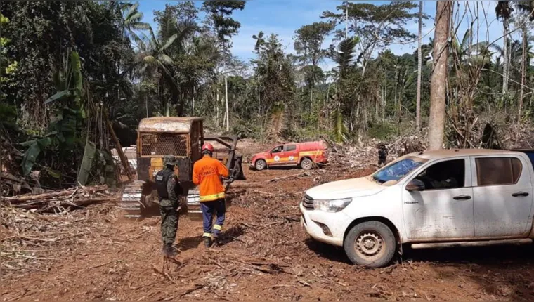 Imagem ilustrativa da notícia Mais de 19 mil hectares de área foram desmatada no Pará