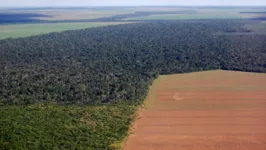 Oposição acredita que PL tem relação direta com desmatamento e permitirá legalização de áreas griladas.