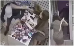Imagem ilustrativa da notícia Ladrão apanha de pênis de borracha ao tentar roubar sex-shop