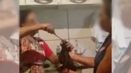Imagem ilustrativa da notícia Vídeo: gato é torturado e obrigado a comer carne com pimenta