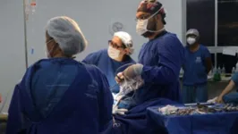 Imagem ilustrativa da notícia Santa Casa do Pará realiza 1º cirurgia no fígado pelo SUS