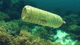 As correntes oceânicas podem transportar microplásticos a centenas ou milhares de quilômetros de sua origem