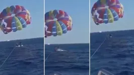 Imagem ilustrativa da notícia Tubarão pula da água e morde perna de paraquedista. Veja!