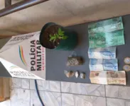 A pm encontrou o suposto "troco" dado pelo idoso e uma plantação de maconha em um vaso.