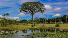 Imagem ilustrativa da notícia Campanha “Um Dia no Parque” celebra áreas protegidas do Pará