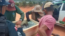 Peixes apreendidos foram doados a entidades filantrópicas e sociais da região