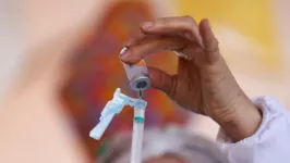 Imagem ilustrativa da notícia Vacinação em massa em Paquetá tem resultado positivo