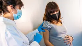 Imagem ilustrativa da notícia Saúde divulga novas orientações de vacina para gestantes
