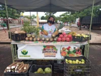 Distribuição de alimentos começa às 9h.