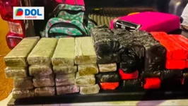 Com as investigadas foram encontrados cerca de 30 quilos de drogas do tipo skank, que é considerada a “supermaconha”