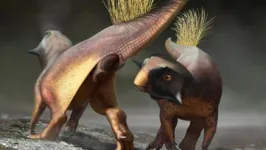 Descoberta aconteceu com um fóssil de psitacossauro