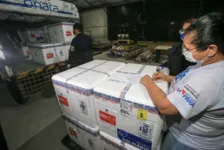 Imagem ilustrativa da notícia Pará recebe mais 154 mil doses de vacinas contra covid-19