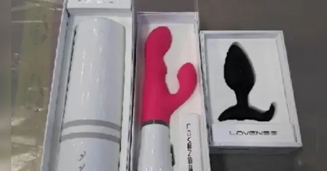 Imagem ilustrativa da notícia Leilão da Receita tem cabelo e vibrador disponíveis 