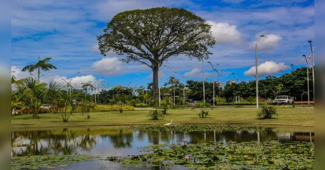 Imagem ilustrativa da notícia Campanha “Um Dia no Parque” celebra áreas protegidas do Pará
