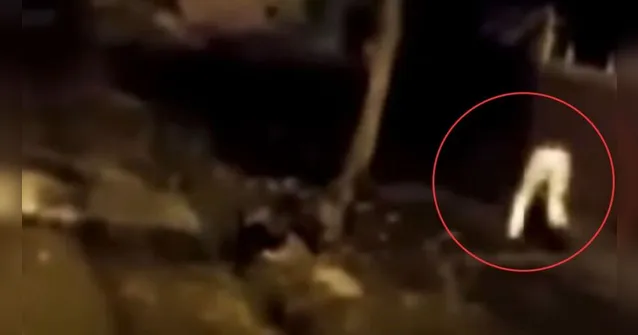 Imagem ilustrativa da notícia Vídeo mostra fantasma sem tronco correndo em rua escura